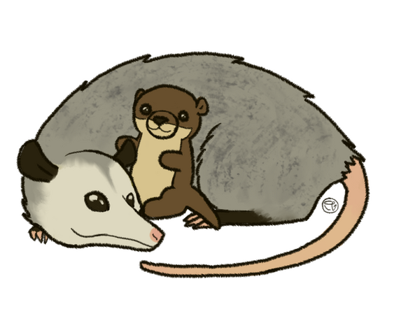 This was a 15 usd commission :D