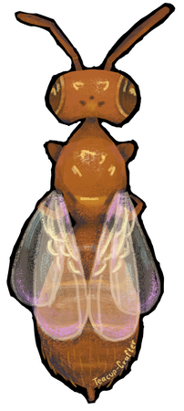 simple subject - rendered